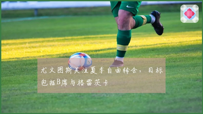 尤文图斯关注夏季自由转会，目标包括B席与格雷茨卡