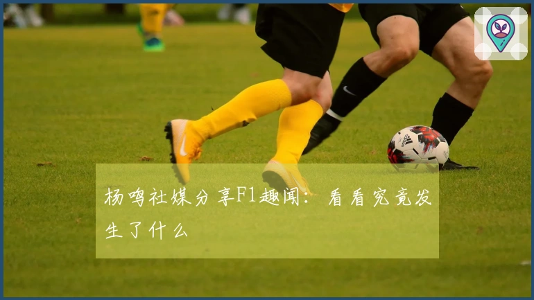 杨鸣社媒分享F1趣闻：看看究竟发生了什么