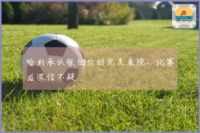 哈利承认张伯伦的完美表现，比赛后深信不疑