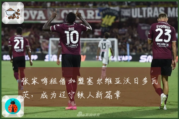 张家鸣租借加盟塞尔维亚沃日多瓦茨，成为辽宁铁人新篇章