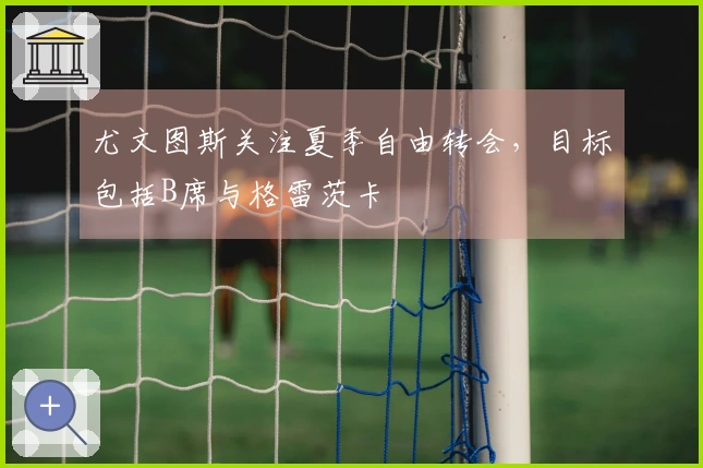 尤文图斯关注夏季自由转会，目标包括B席与格雷茨卡